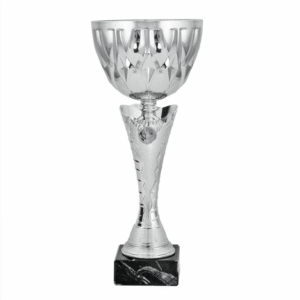 Taça Desportiva 7070